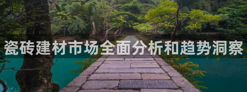 杏鑫代理注册资金多少