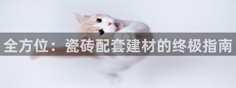 杏鑫注册登录代理