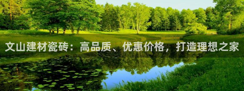 杏鑫平台平台