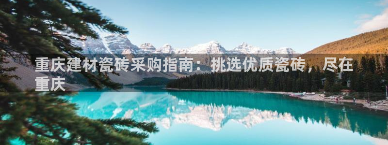 杏鑫平台野马联盟