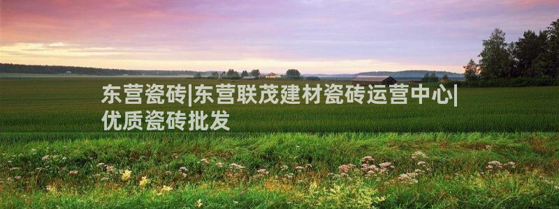 杏鑫注册登录代理公司