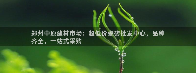 杏鑫平台代理注册登录不了怎么办呀苹果