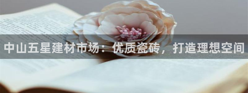 杏鑫官网注册账号密码