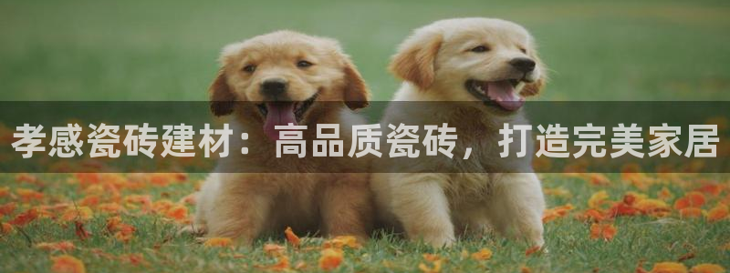 杏鑫娱乐靠谱吗