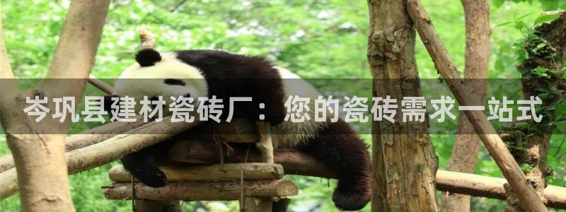 杏鑫平台注册地址