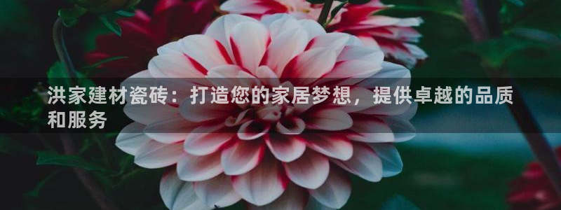 杏鑫代理注册资金多少