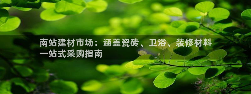 杏鑫官网注册账号怎么注册不了