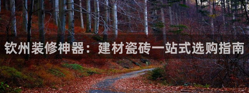 杏鑫平台注册网址查询