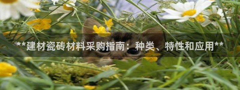 杏鑫娱乐官方网站客户端下载安装