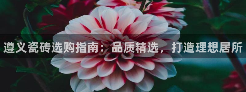 杏鑫平台官方网站