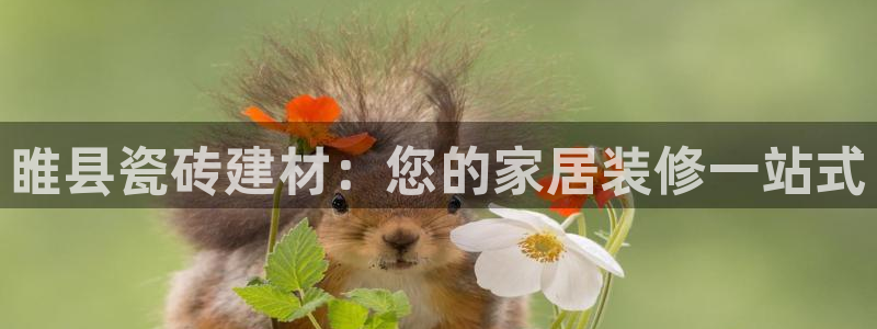 杏鑫注册平台官方网站下载