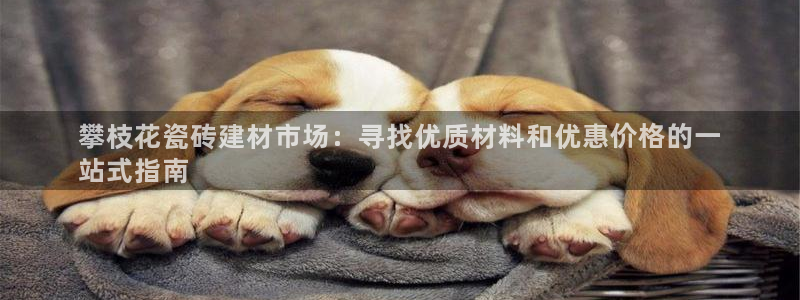 杏鑫注册平台官方网站是什么