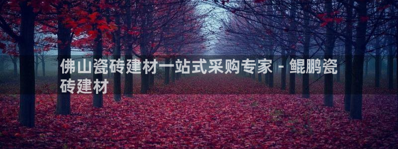 杏鑫平台怎么样