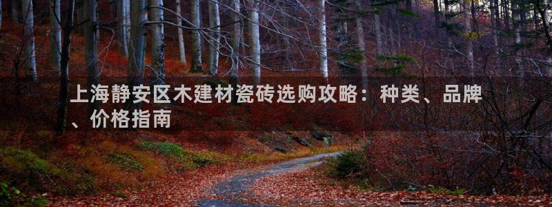 杏鑫平台登录地址是什么