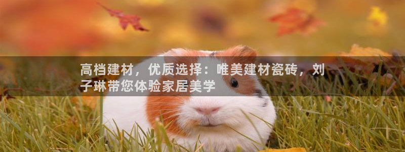 杏鑫平台招商