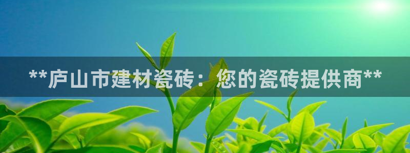 杏鑫娱乐官方网站客户端