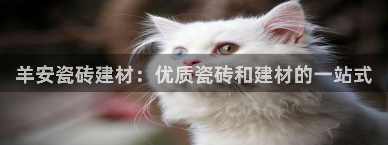 杏鑫平台登录注册
