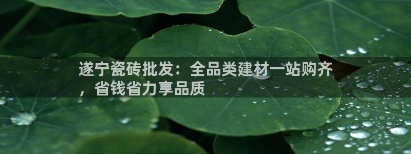 杏鑫平台登录地址查询