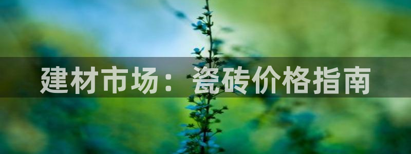 杏鑫平台招商电话号码是多少