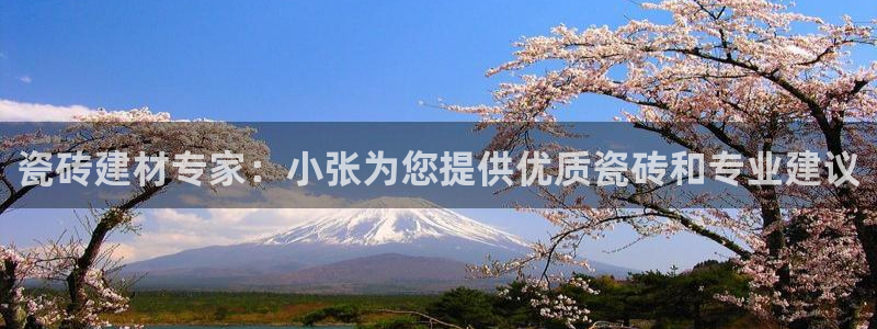 杏鑫平台直属