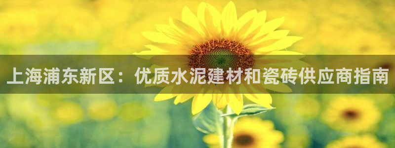 杏鑫娱乐官网首页