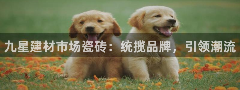杏鑫平台野马联盟