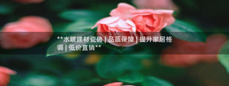 杏鑫平台平台娱乐怎么样