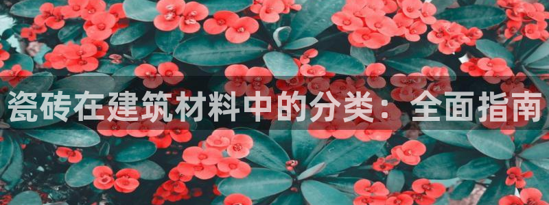 杏鑫娱乐是合法的吗?