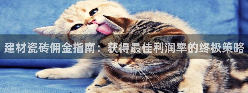杏鑫手机客户端