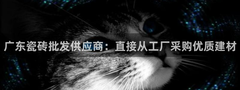 杏鑫官网最新信息