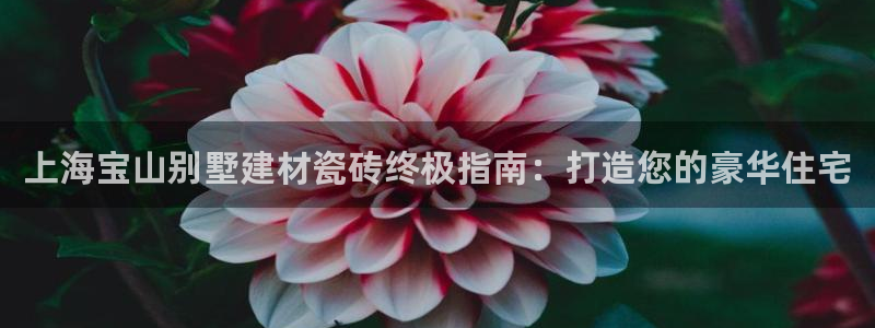 杏鑫平台怎么样黑钱吗是真的吗