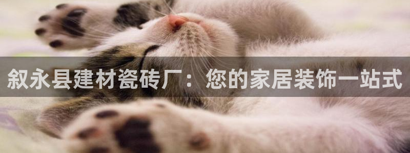 杏鑫平台平台娱乐