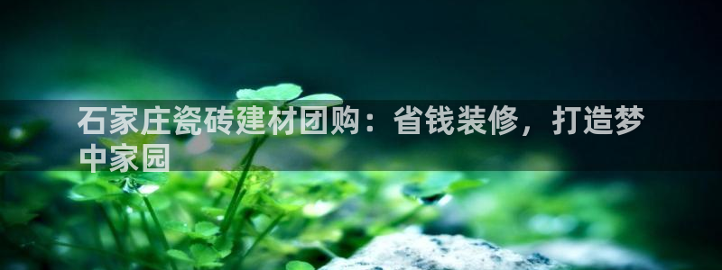 杏鑫平台注册地址是哪里