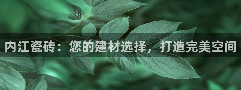 杏鑫娱乐官网下载