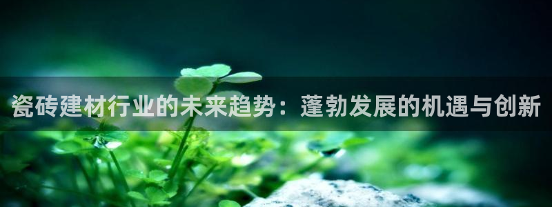 杏鑫平台怎么样知乎