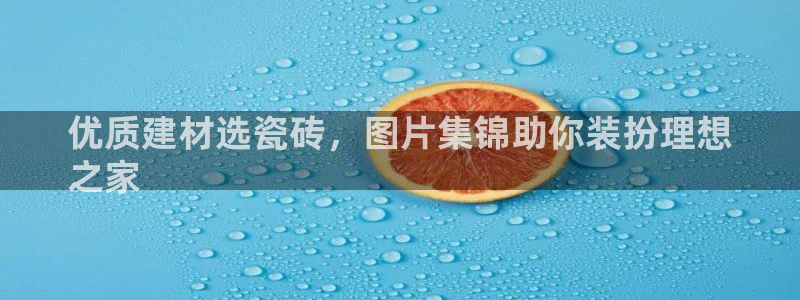 杏鑫平台招商