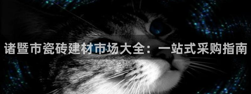 杏鑫平台代理注册登录不了怎么办呀视频
