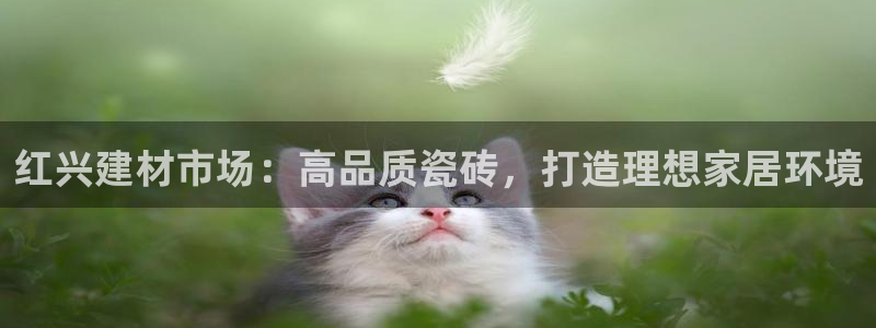 杏鑫注册平台官方网站入口