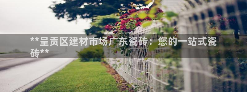 杏鑫主管