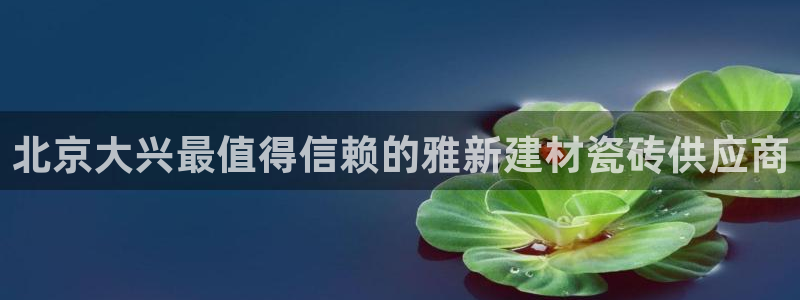 杏鑫主管