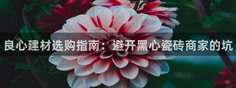 杏鑫注册登录