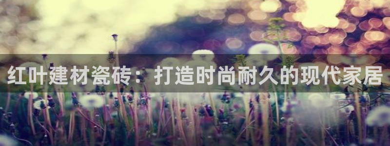 杏鑫平台代理注册