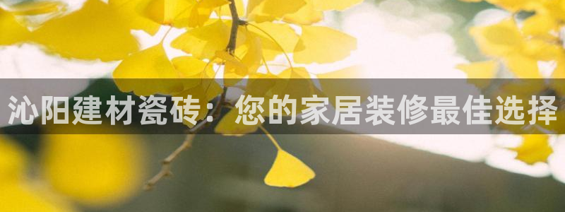 杏鑫娱乐负责人