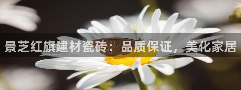 杏鑫官网注册账号是什么