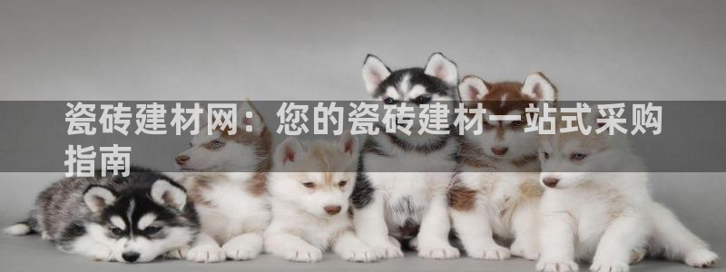 杏鑫手机客户端怎么下载