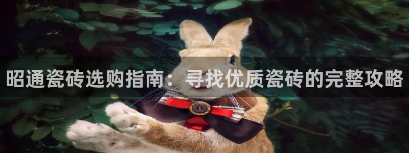 杏鑫平台正规吗