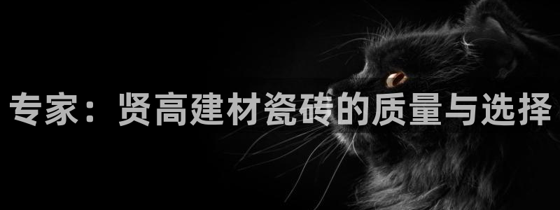 杏鑫平台代理注册多少钱一年