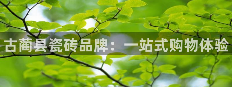 杏鑫娱乐平台测速