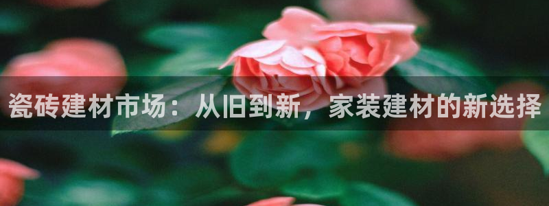 杏鑫娱乐官方网站客户端