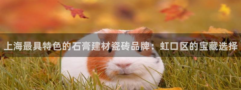 杏鑫娱乐开发团队